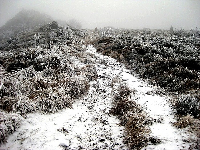 Bieszczady